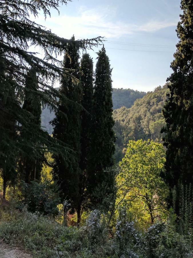 Agula Relais Camera Matrimoniale Pugnano Εξωτερικό φωτογραφία